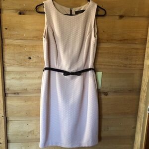 The Limited Dusty Rose lace overlay black belt size 6 sheath midi dress